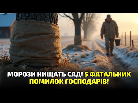 Видео: Ваші дерева приречені, якщо не зробите цього до перших заморозків!
