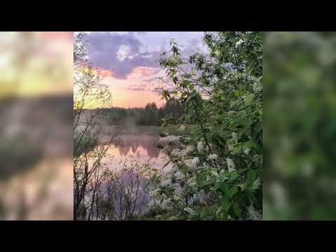 Видео: Би-2- ее глаза (speed up)