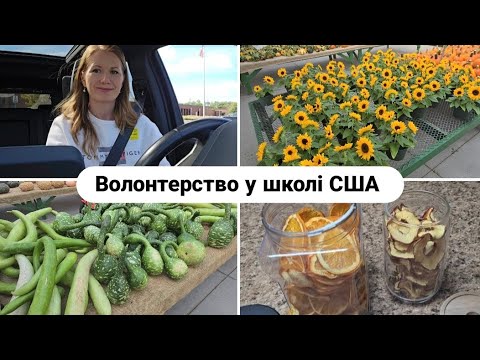 Видео: ДЕНЬ БАБУСІ ТА ДІДУСЯ В АМЕРИКАНСЬКІЙ ШКОЛІ. Поїздка на місцеву ферму. Закупівля овочів. Сушу фрукти