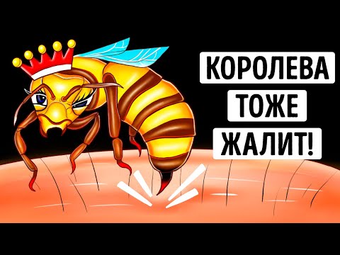 Видео: Почему укус королевы пчел может быть более опасным? Будьте бдительны!
