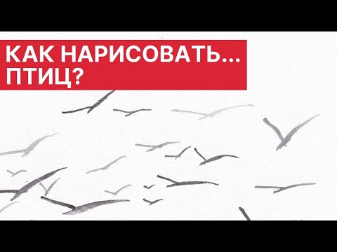 Видео: 🎨 Как нарисовать... ПТИЦ?