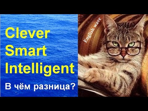 Видео: Разница между Clever, Smart, Intelligent. Лексика Английского языка Умный по-английски