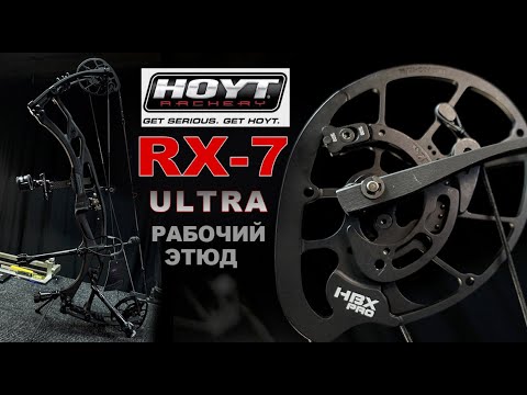 Видео: Hoyt RX 7 ultra рабочий этюд