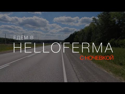 Видео: Едем в глемпинг Helloferma: гулять с хасками.