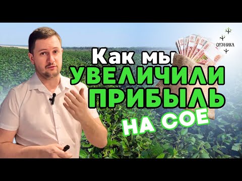 Видео: Как мы увеличили прибыль на сое