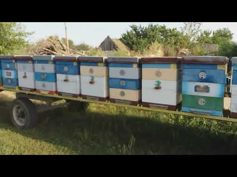 Видео: Кочевая пасека 2018. Возвращение домой. Отзыв об апилифте.