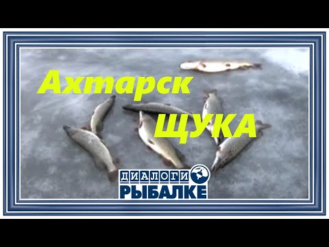 Видео: Диалоги о рыбалке - 105 / Ахтарск. Щука