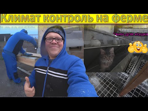 Видео: Зимний рай для кроликов: Секреты уличной приточки и забавные окролы в снегопад.