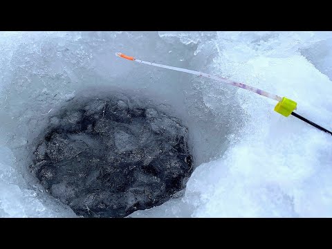 Видео: Опустил БЕЗМОТЫЛКУ в ОМУТ МИКРОРЕЧКИ И КИВОК ЗАГНУЛО! Гвозде-шар и кубик ловят! Зимняя рыбалка 2023!