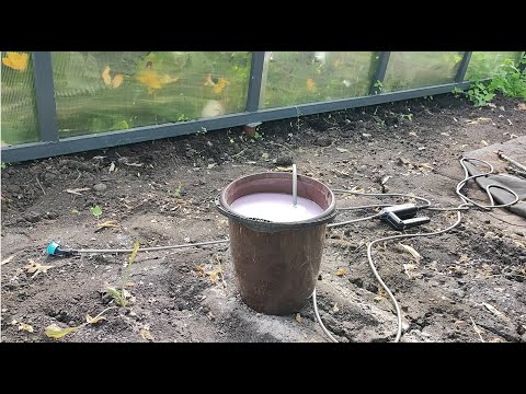 Видео: Чем обработать грунт после сбора урожая томатов, если были болезни и вредители