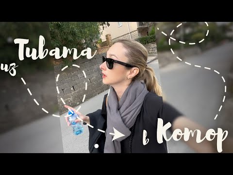 Видео: Пешком из Тивата в Котор | Черногория 🇲🇪 