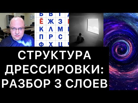 Видео: СТРУКТУРА ДРЕССИРОВКИ: РАЗБОР 3 СЛОЕВ