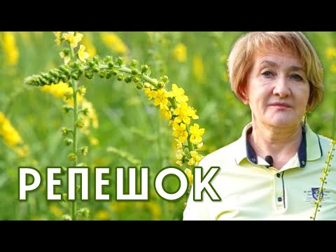 Видео: РЕПЕШОК, который умеет почти все!