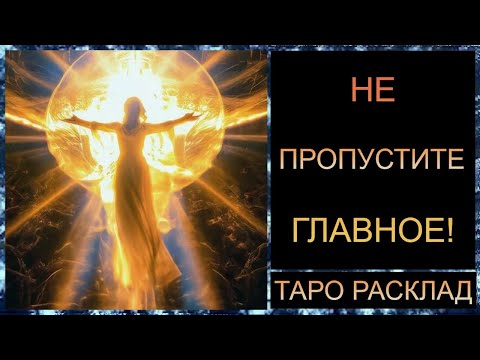 Видео: В ПОТОКЕ! #самопознание #таротрансформация #таро #tarot #таросегодня