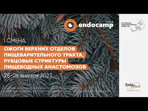 Видео: Ожоги верхних отделов пищеварительного тракта. Рубцовые стриктуры пищеводных анастомозов (день 2)