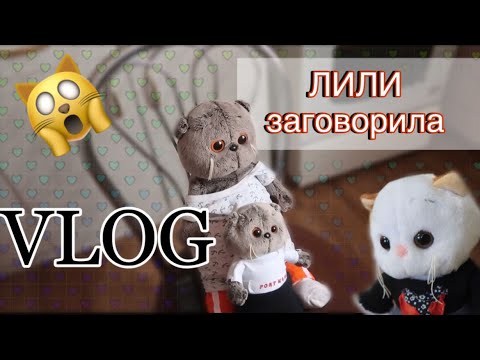 Видео: Длинный влог с БАСИКАМИ | делаю корм для Басиков