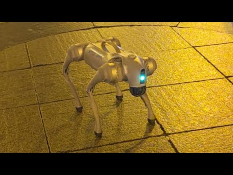 Видео: Вышивка и жизнь с 3 по 9 ноября 2025 г//Робособака//Уличные музыканты