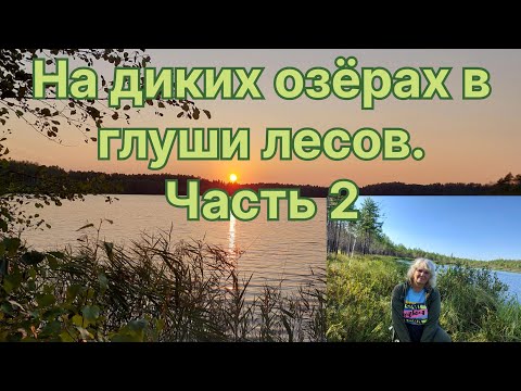 Видео: ЗАГАДОЧНОЕ и НЕДОСТУПНОЕ озеро СРЕДНИЙ КУЛЬТЕЙ. Неожиданная встреча.