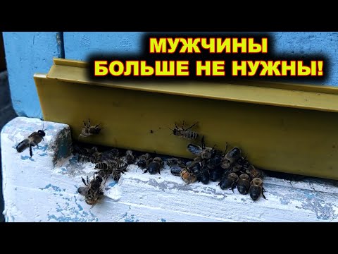 Видео: Мужчины больше не нужны.