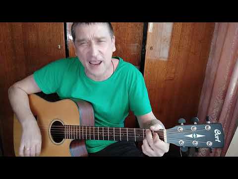 Видео: Ноль - Человек и кошка - кавер на гитаре