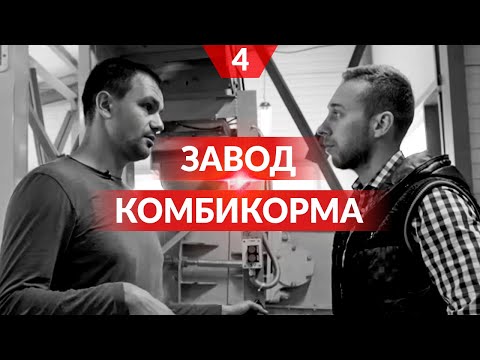 Видео: Комбикормовый завод у Алексея Васильченко. Производство корма