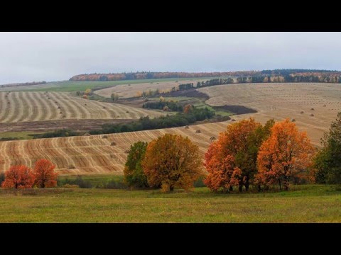 Видео: Башира Насырова | Бәширә Насыйрова ""Сагыну"