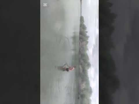 Видео: Сазан 12+кг Трофей 2025 взят рыбалка на Каратале