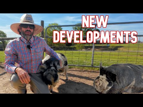 Видео: Неожиданное изменение, которое мы никогда не думали увидеть