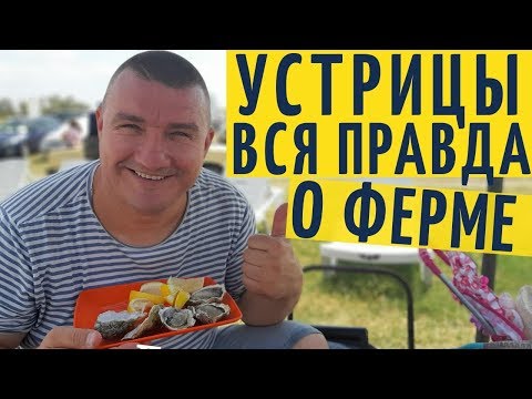 Видео: Правда о ферме Устрицы Скифии /Тилигульский лиман на YouTube канале Взрослый разговор