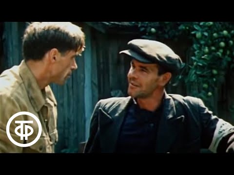 Видео: Плач перепелки. Серия 5 (1990)