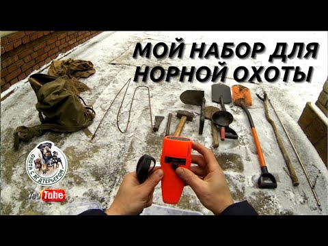 Видео: Охота с ягдтерьером, мой набор для норной охоты . Fox Hunt with Jagdterrier
