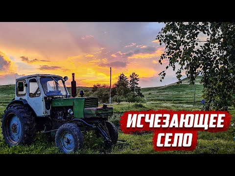 Видео: Исчезающее село | Оренбургская область | Бугурусланский район с.Большое Алпаево