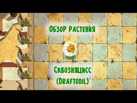 Видео: Обзор Сквозняцисс (Draftodil), растение из Plants vs Zombies 2