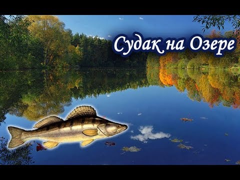 Видео: Ловля Судака на Озере. Русская Рыбалка 3.99.