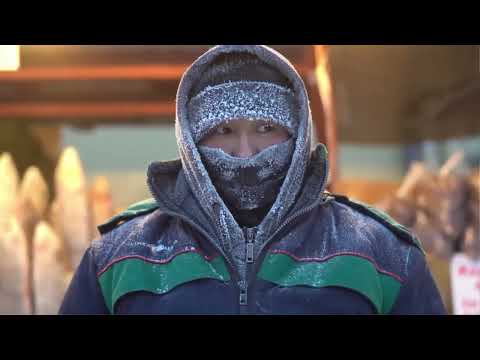 Видео: 🥶Жизнь при -71°C: Как выживают в Якутске, самом холодном городе на Земле?