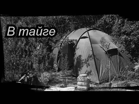 Видео: 4 МЕСЯЦА В ТАЙГЕ. ВСЕ СЕРИИ ПОДРЯД. СЕЗОН 2023 Г. №3.