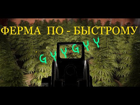 Видео: RUST Ферма по-быстрому. Генетика с RustBreeder - теперь просто.