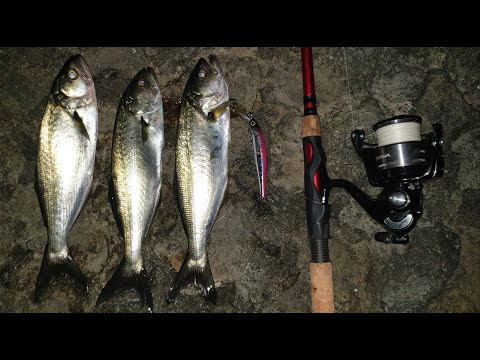 Видео: Риболов на лефер - 02.09.21