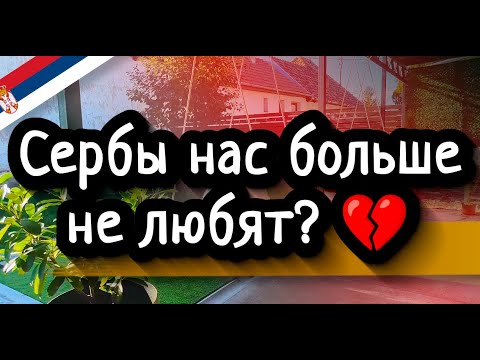 Видео: Как сербы относятся к русским в 2025 году — из нашего опыта