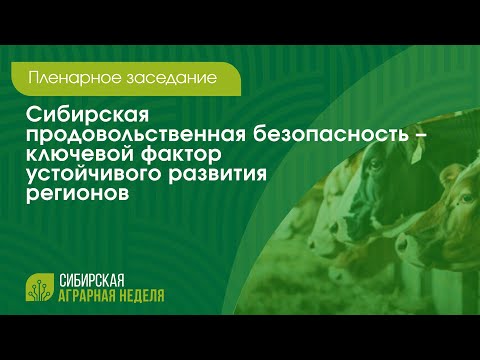 Видео: Пленарное заседание «Сибирская продовольственная безопасность» | ОТС LIVE — прямая трансляция