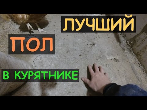 Видео: Пол в курятнике. Из чего.Жизнь на даче