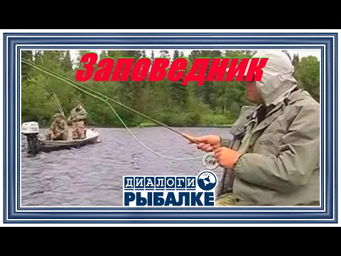 Видео: Диалоги о рыбалке - 040 / Заповедник