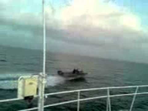 Видео: Погоня за браконьерами