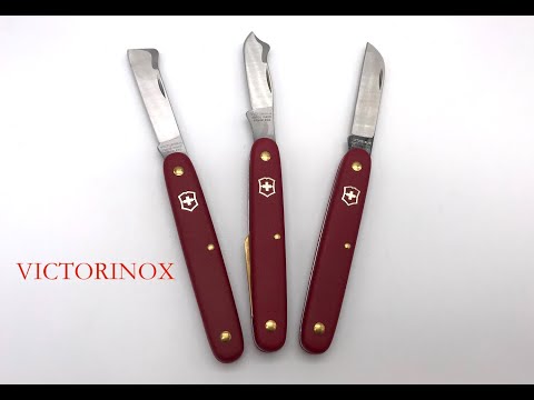 Видео: Прививочные нож Victorinox