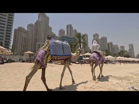 Видео: ПЛЯЖ ДУБАЙ The Beach JBR