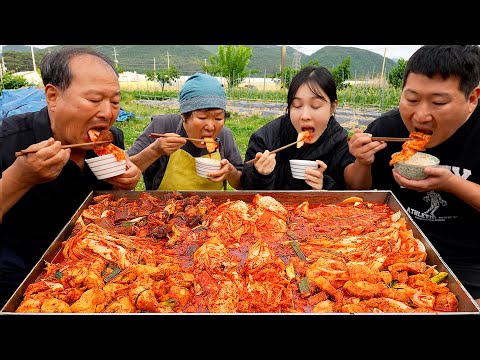 Видео: Тушеное кимчи со свининой, говядиной, курицей и скумбрией - кулинарное шоу Мукбанг