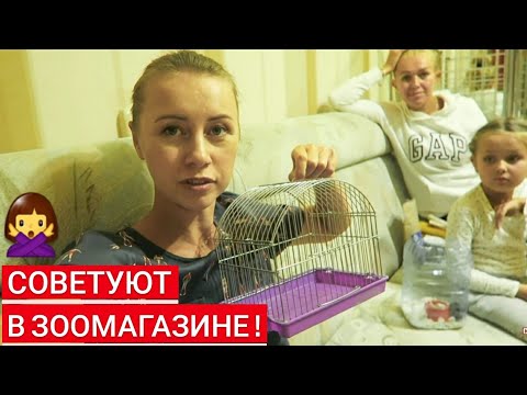 Видео: СОДЕРЖАНИЕ ДЖУНГАРСКОГО ХОМЯКА! КУПИЛИ ХОМЯКА, ЧТО ДЕЛАТЬ?