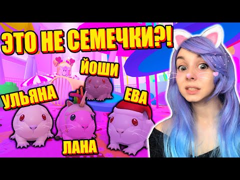 Видео: У ЙОШИ БЕШЕНСТВО?!  Roblox Guinea Pig Simulator