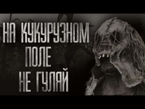 Видео: НА КУКУРУЗНОМ ПОЛЕ НЕ ГУЛЯЙ... Страшные истории на ночь