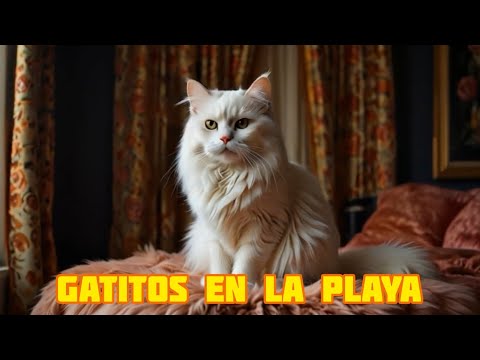 Видео: Gatitos en la Playa , видео котиков под добрую музыку.